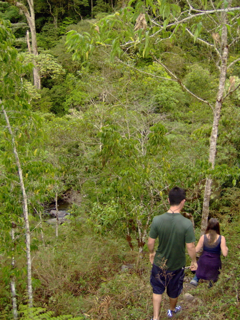 trail to Rio Chirripo